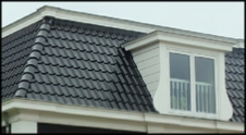 Dakrenovatie Vianen